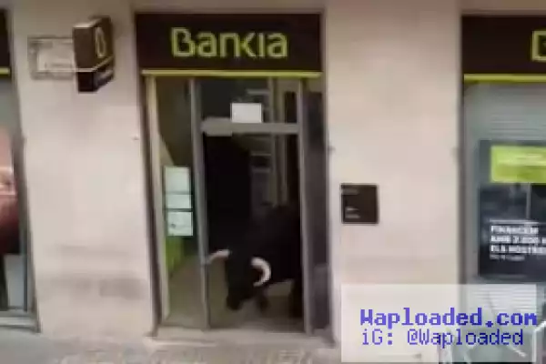Bull takes a break from festival to drop in on local bank